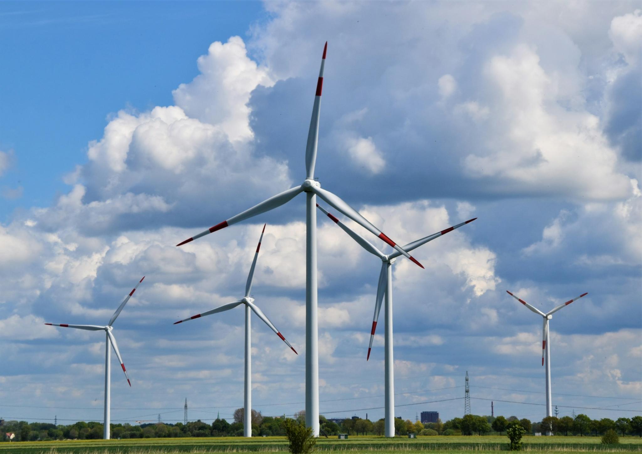 Windmills in a field