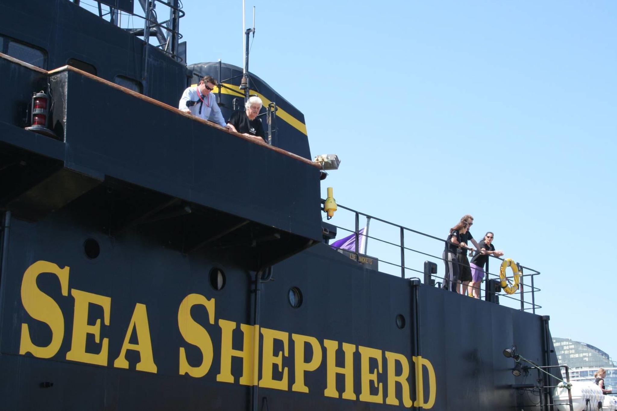 Captain Paul Watson watching docking