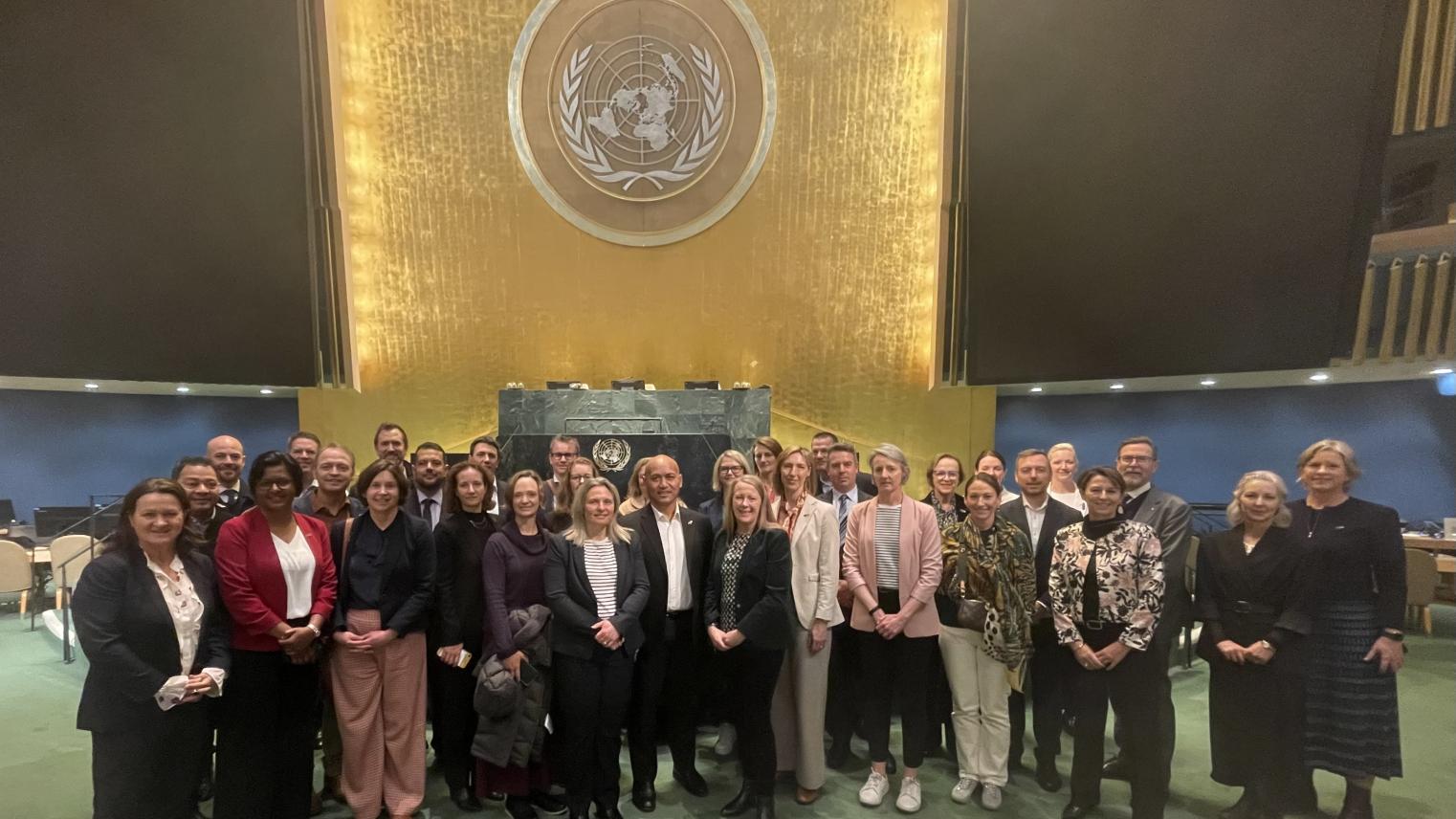 Participants of the SES program at the UN